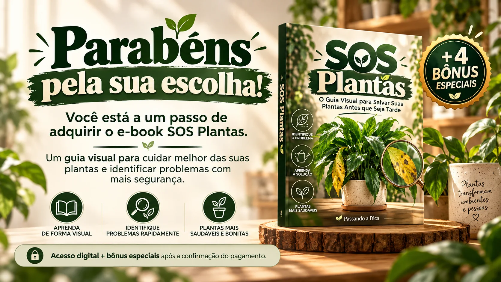 SOS Plantas com quatro bônus especiais