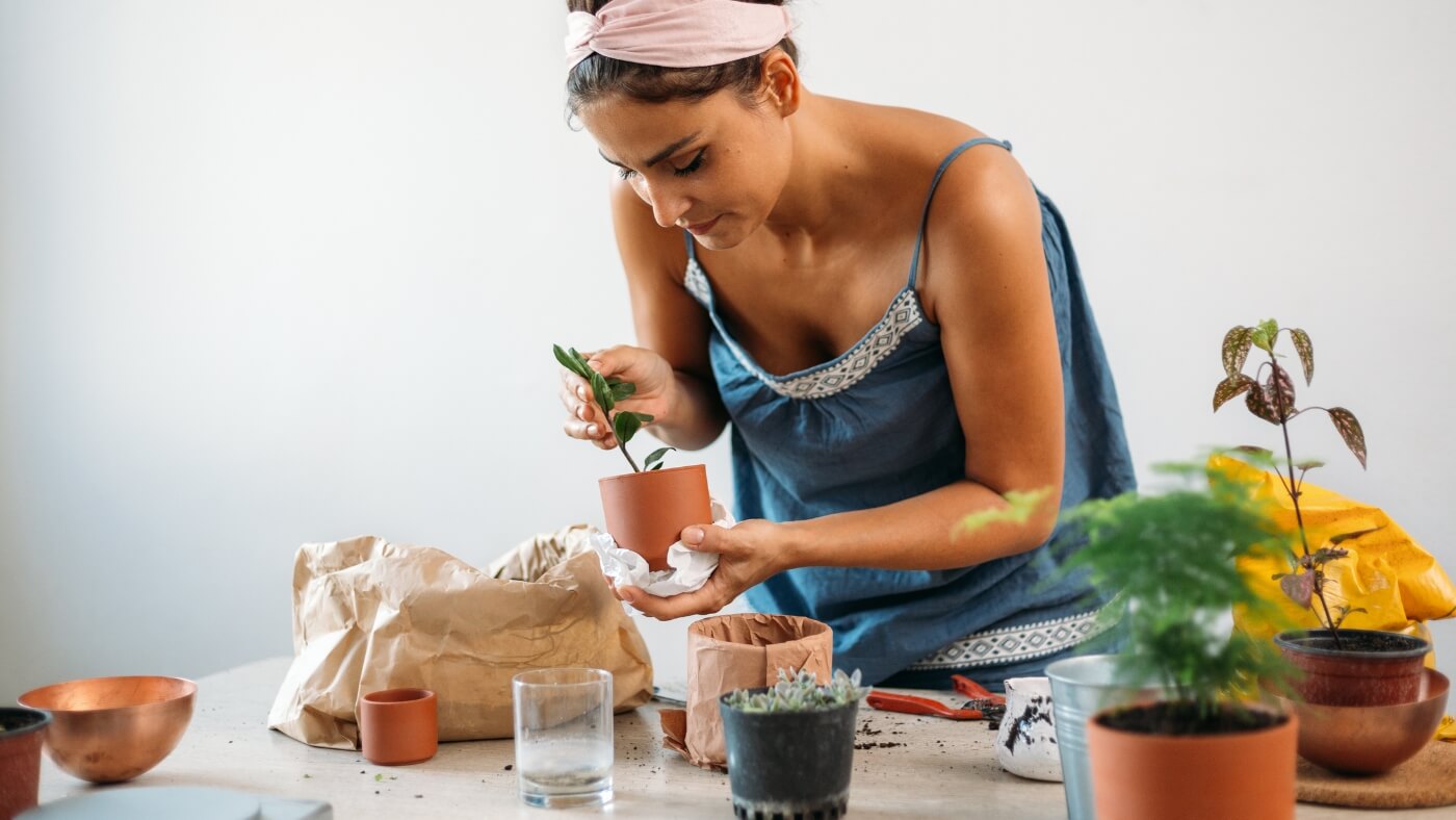 Benefícios de ter flores em casa