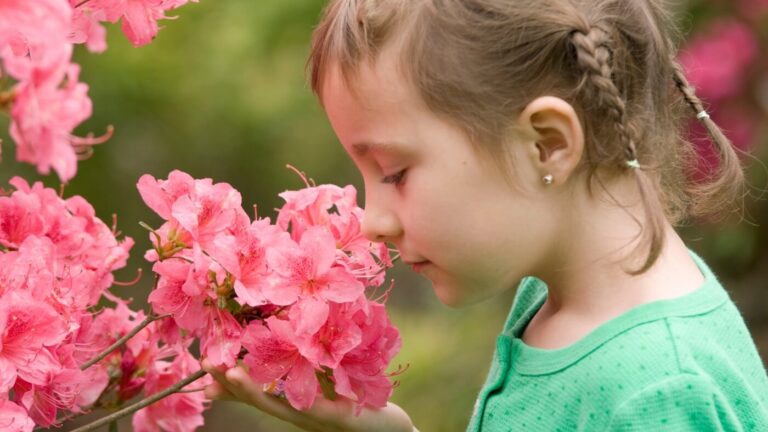 Perfume das Flores: Aromas Naturais e Delicados para Todos os Gostos