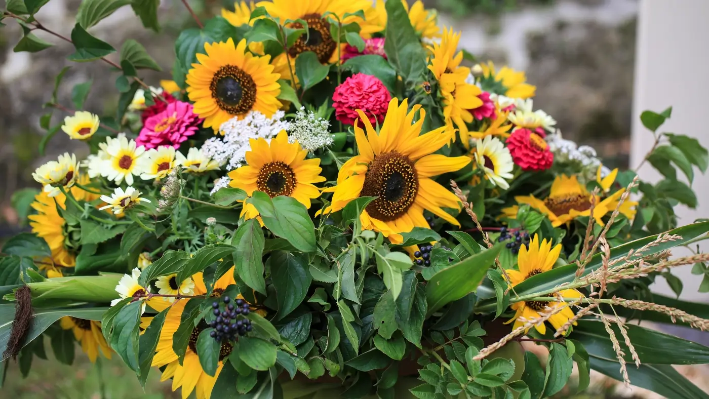 Melhores Plantas para Plantar no Verão: Dicas de Especialistas