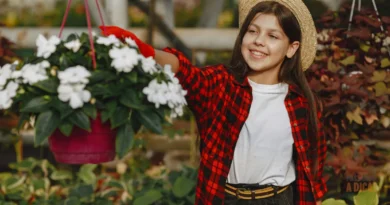 Flores para Todos os Momentos: Como Escolher e Cuidar das Espécies Certas