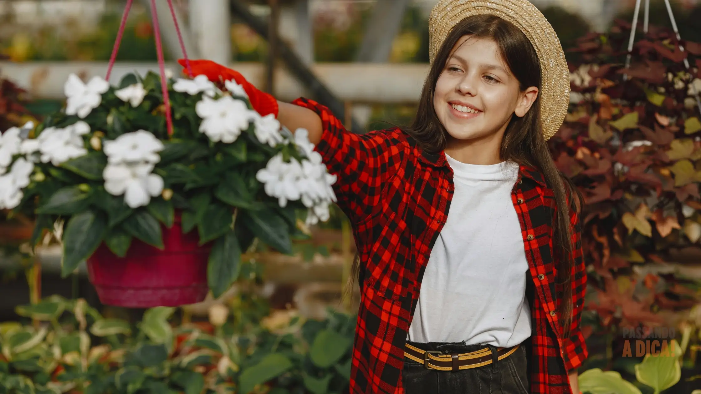 Flores para Todos os Momentos: Como Escolher e Cuidar das Espécies Certas