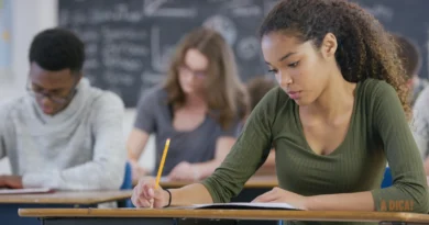 Concursos Públicos no Brasil: Onde Encontrar e Como se Preparar para Passar