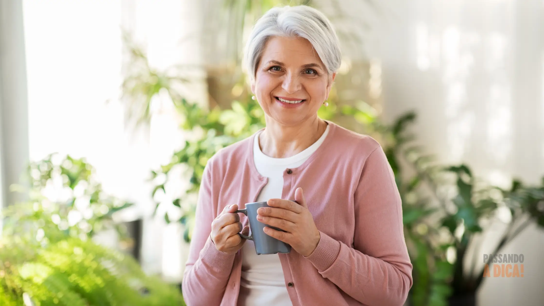 5 Plantas Incríveis para Cultivar em Casa e Ter Chás Frescos Sempre à Mão