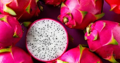 Como Plantar e Cuidar de Pitaia em Casa: Guia Completo para Cultivar essa Fruta Exótica