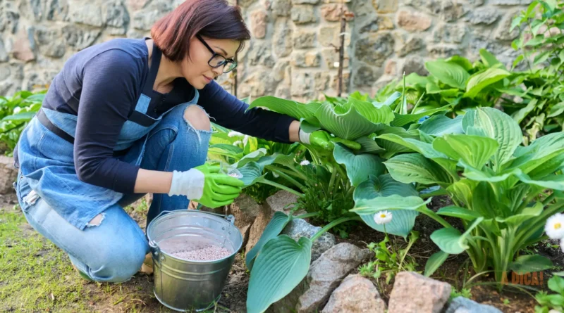 Adubo para Flores: O Guia Definitivo para Floradas Incríveis Dentro e Fora de Casa