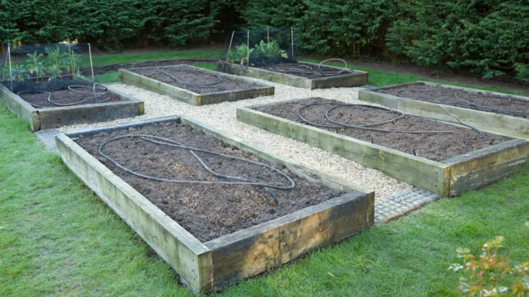 Horta de Inverno: O que Ainda Dá Tempo de Plantar em Junho/Julho para Colher no Frio