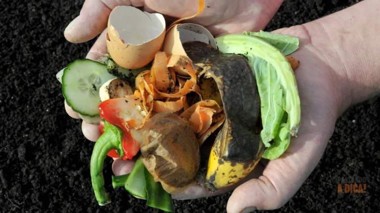 Compostagem em Apartamento: Guia Passo a Passo para Transformar 'Lixo' em Adubo de Ouro
