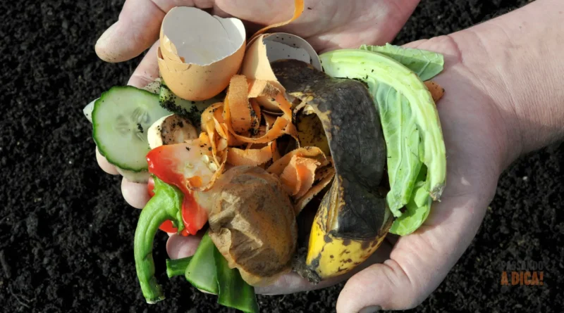 Compostagem em Apartamento: Guia Passo a Passo para Transformar 'Lixo' em Adubo de Ouro