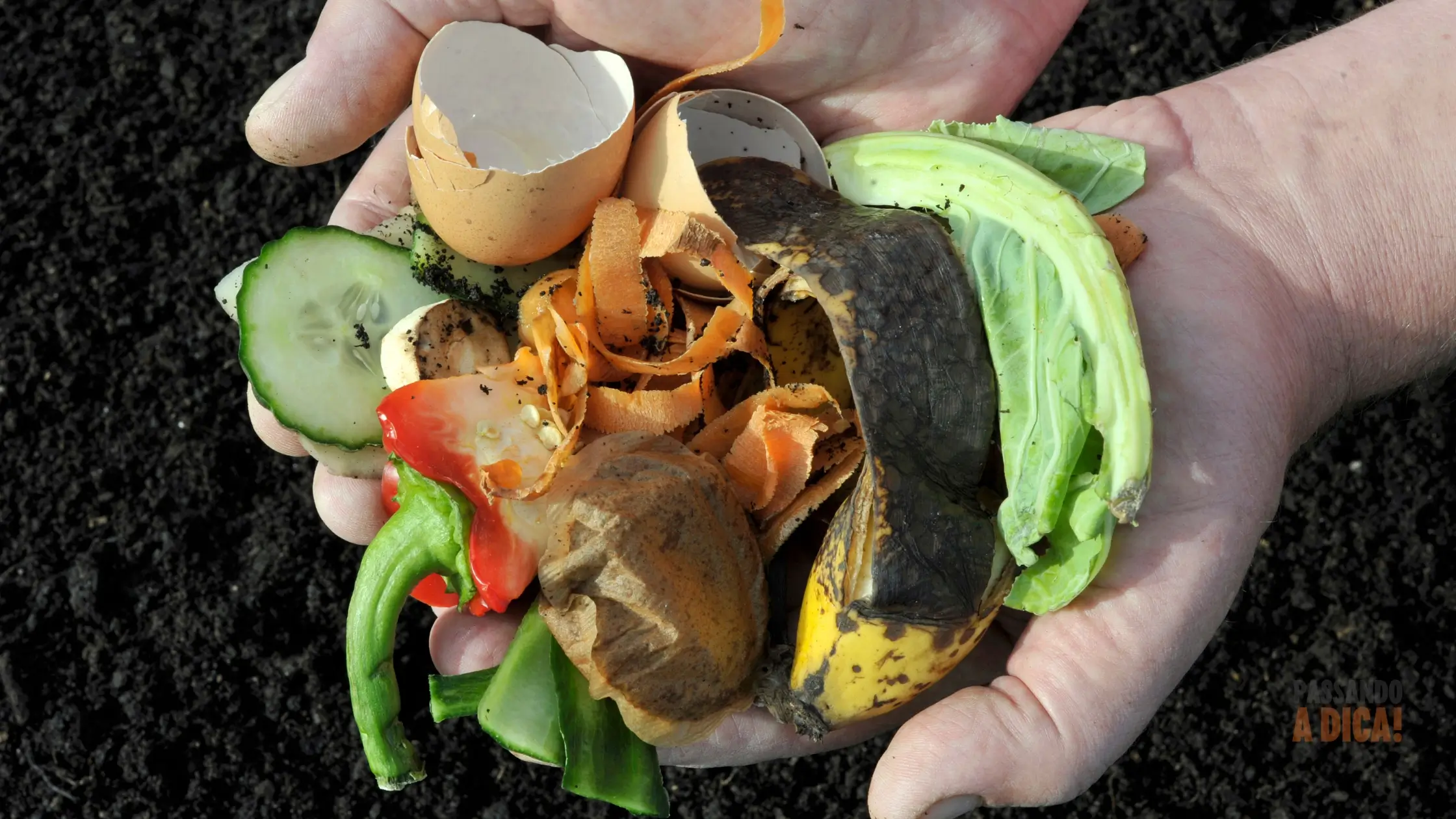 Compostagem em Apartamento: Guia Passo a Passo para Transformar 'Lixo' em Adubo de Ouro