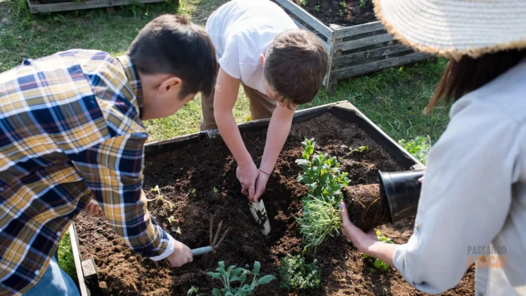 Horta de Inverno: O que Plantar em Julho e Agosto para uma Colheita Rápida