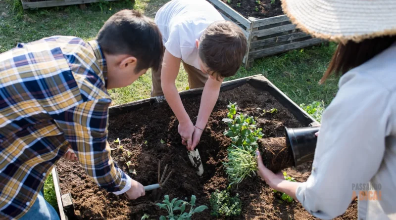 Horta de Inverno: O que Plantar em Julho e Agosto para uma Colheita Rápida