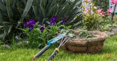 Jardim Terapêutico: Como Criar um Cantinho Verde em Casa para Aliviar o Estresse e Melhorar o Bem-Estar