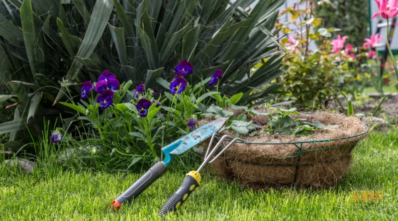 Jardim Terapêutico: Como Criar um Cantinho Verde em Casa para Aliviar o Estresse e Melhorar o Bem-Estar