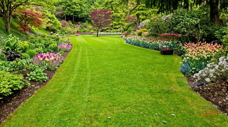 Primavera Perfumada: 7 Flores Incríveis para Plantar e Embelezar seu Jardim