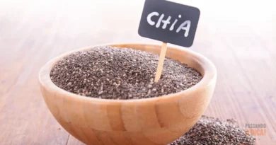 Sementes de Chia: Os Benefícios e o Guia Completo para Plantar e Colher em Casa