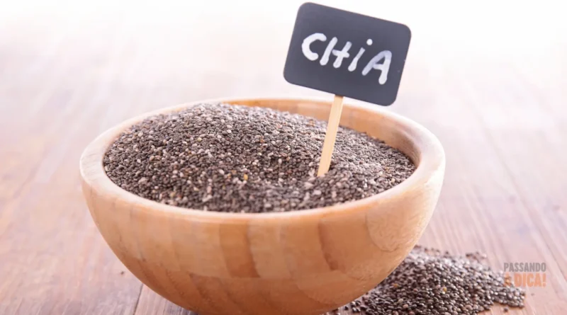 Sementes de Chia: Os Benefícios e o Guia Completo para Plantar e Colher em Casa