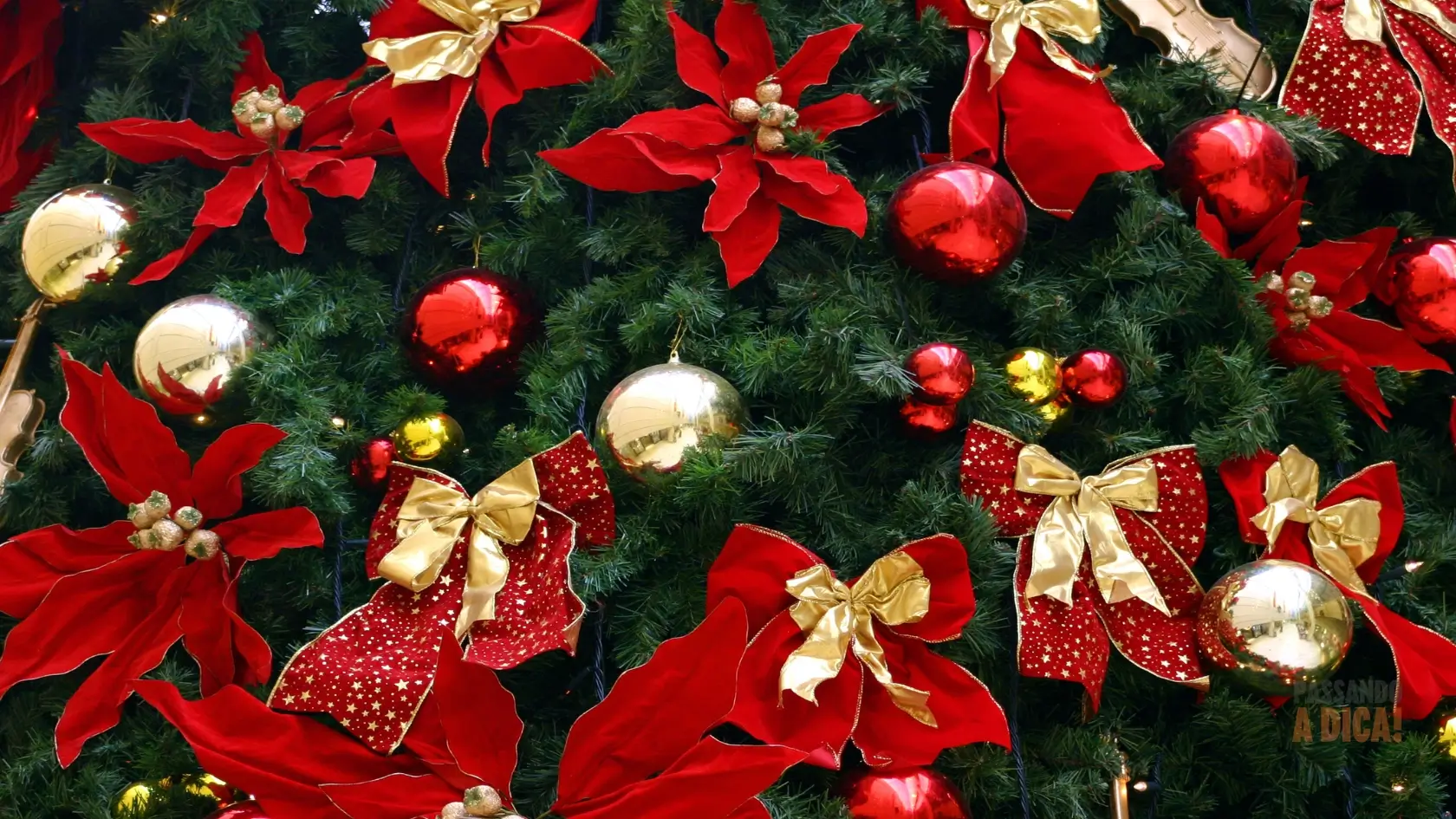 7 Flores para Mesa de Natal: Como Criar Arranjos Naturais e Elegantes para a Ceia