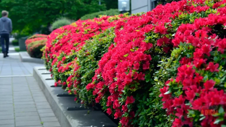 7 Opções de Arbustos de Flores para Transformar seu Jardim em um Refúgio Colorido