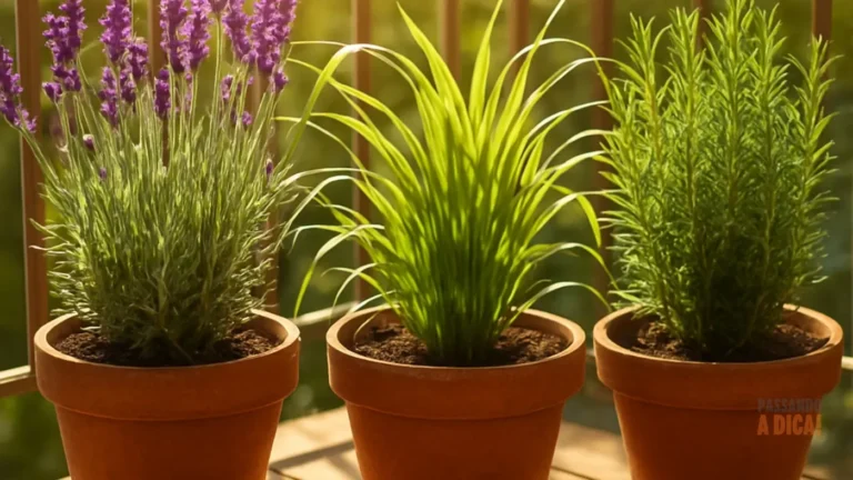 7 Plantas que Espantam Insetos: Proteja sua Casa no Verão de Forma Natural