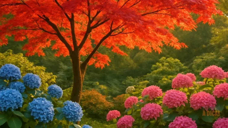 Flores que Mudam de Cor