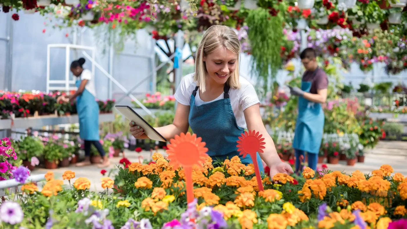 As 7 Flores mais Fáceis de Cuidar no Sul do Brasil: Beleza que Resiste ao Frio