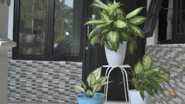 7 Plantas Poderosas que Espantam o Mal-Olhado e Protegem sua Casa