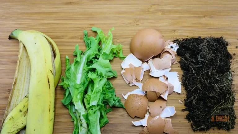 Como Fazer Adubo com o Próprio Lixo de Casa: Guia Completo de Compostagem Doméstica