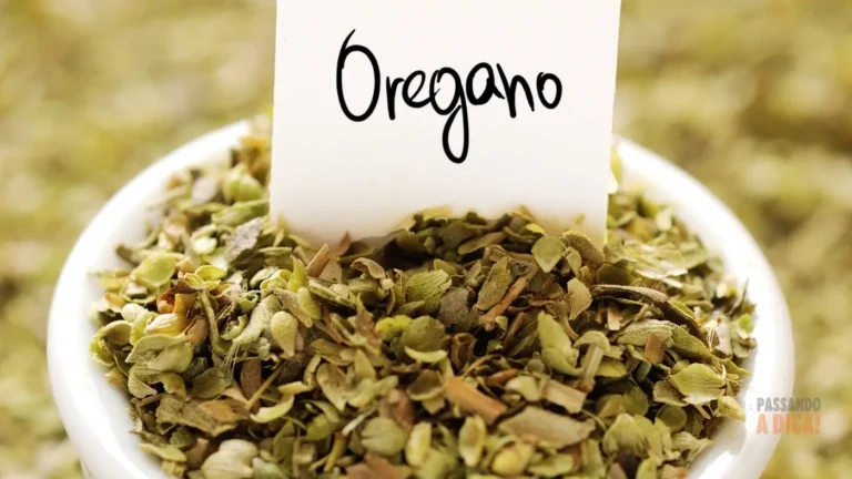 Como Plantar Orégano em Casa: O Guia Definitivo para Temperos Frescos
